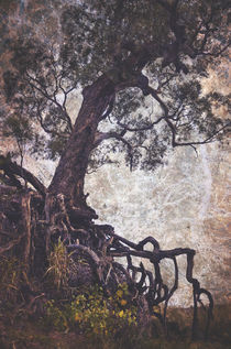 The Tangle Tree by Karen Black