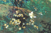The Butterfly Pond von Karen Black