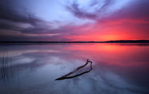 Starnberger Lake at sunset von Bastian Linder