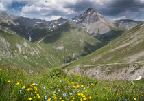 Mountains  in the Alps with flowers and clouds at Fimba pass von Bastian Linder
