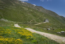 Mountain landscape in the Alps with flowers at Pforzheimer Hut, Austria von Bastian Linder