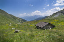 Mountain landscape in the Alps with flowers at Pforzheimer Hut, Austria von Bastian Linder
