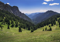 Mountain landscape in the Alps close to Ponte Arche, Italy von Bastian Linder