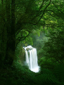 Waterfall in Rainforest, Victoria von Bastian Linder