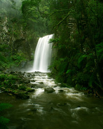 Waterfall in Rainforest, Victoria, Otway National Park, Australia by Bastian Linder