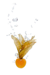 Cape gooseberry in water with air bubbles by Bastian Linder