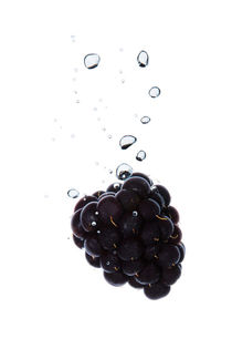 Blackberry in water with air bubbles by Bastian Linder