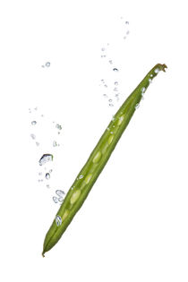 Green bean in water with air bubbles von Bastian Linder