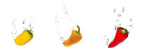Yellow, orange and red capsicum in water with air bubbles by Bastian Linder