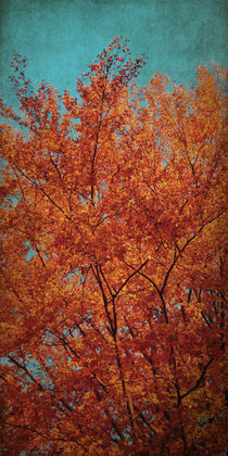 Indian Summer by AD DESIGN Photo + PhotoArt