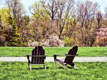 Adirondack Chairs in Spring by Susan Savad