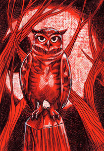 owl by sushy