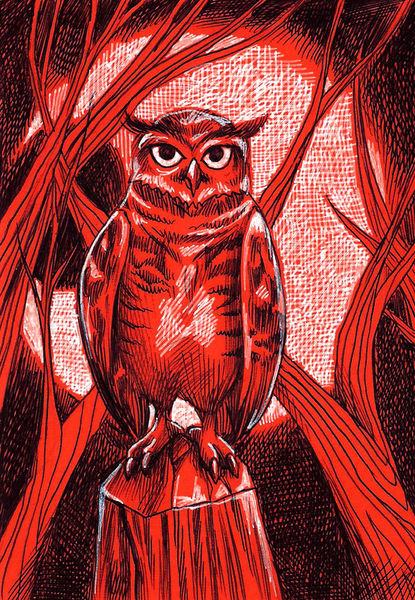 Owl2017
