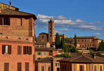 Altstadt von Siena mit Blick auf die Basilica dei Servi  by Peter Bergmann