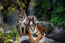 tiger, screaming tiger by hottehue