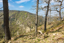 Landschaft im Harz von Rico Ködder