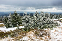 Landschaft mit Schnee auf dem Brocken im Harz by Rico Ködder