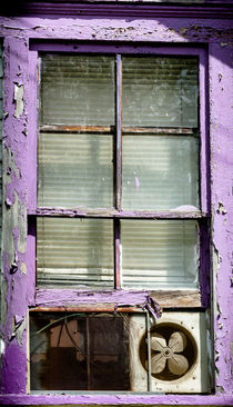 Window 2 by Tim Seward
