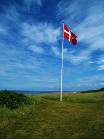typisch Dänemark: Flagge und Fahnenstange an der Küste von assy
