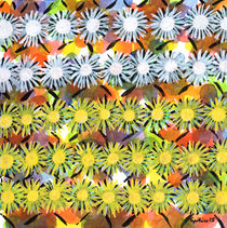  Rainbow Flower Pattern by Heidi  Capitaine