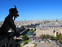 Notre Dame Gargoyle and View of Paris by susanbecruising