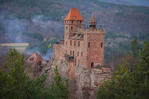 Burg Berwartstein	 von Christian Braun
