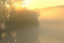 Morgensonne und Nebel von Bernhard Kaiser