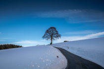Winter im Sauerland by Simone Rein
