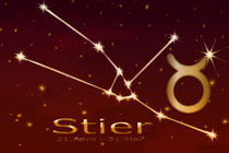 Sternzeichen - Stier von Chris Berger