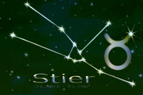 Sternzeichen - Stier by Chris Berger