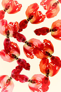 Tulpen überall by Marion Kuban