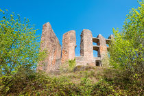 Ruine Ramburg 89 by Erhard Hess