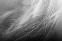 Breath Of Wind by Petra Dreiling-Schewe