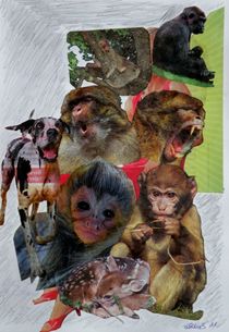 Animal Collage by art-dellas