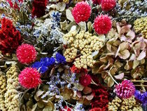 Assortment Of Dried Flowers by Susan Savad