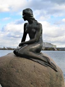 die kleine Meerjungfrau, lille havfrue, København von assy