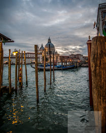 After the rain in Venice by dayle ann  clavin