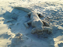 Sand art alligator holding human arm. by Blake Robson