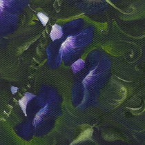 Bean Flowers. Original Oil Painting. Wild Flowers von mikart
