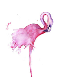 Flamingo Bird von mikart