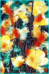 Hahnenfuß Wiesenblumen by Sandra  Vollmann