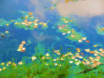 Autumn leaves on water 1 by lanjee chee