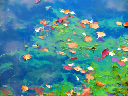 Autumn-leaves-on-water-3