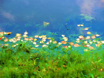 Autumn leaves on water 4 by lanjee chee