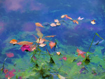 Fall leaves on river 1 by lanjee chee