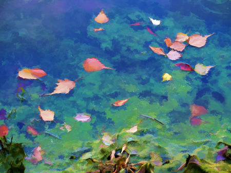 Fall-leaves-on-river-2