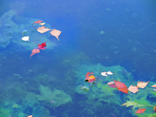 Fall-leaves-on-river-3