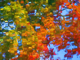 Fall-leaves-on-river-5
