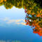 Fall-leaves-on-river-8