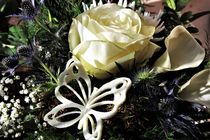 weiße Rose mit Deko-Schmetterling by assy
